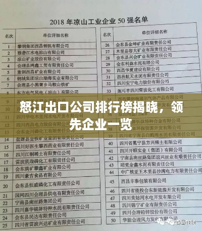 怒江出口公司排行榜揭曉，領先企業(yè)一覽