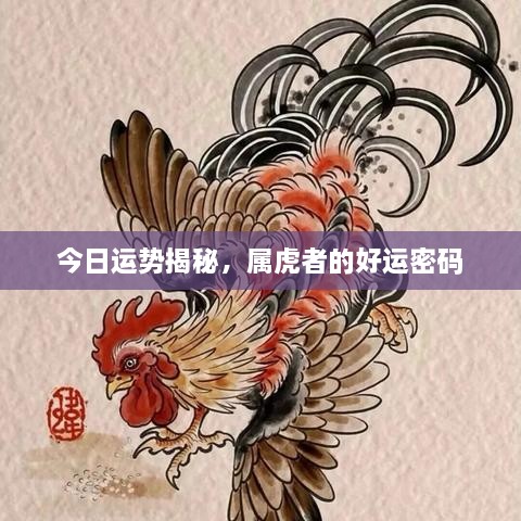 今日運(yùn)勢(shì)揭秘，屬虎者的好運(yùn)密碼