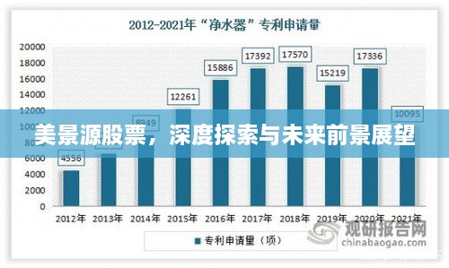 美景源股票，深度探索與未來(lái)前景展望
