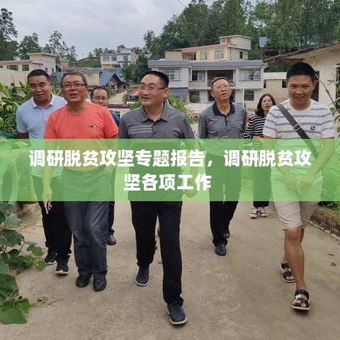 調(diào)研脫貧攻堅專題報告，調(diào)研脫貧攻堅各項工作 