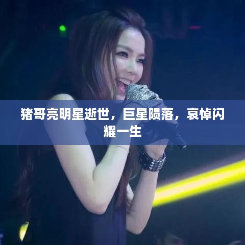 豬哥亮明星逝世，巨星隕落，哀悼閃耀一生