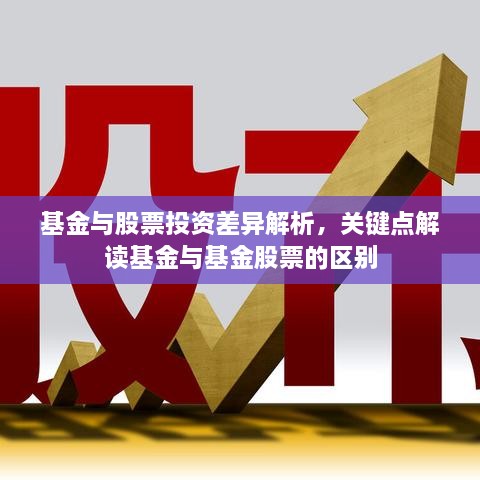基金與股票投資差異解析，關(guān)鍵點(diǎn)解讀基金與基金股票的區(qū)別