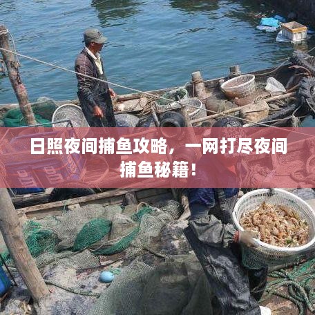 日照夜間捕魚攻略，一網(wǎng)打盡夜間捕魚秘籍！
