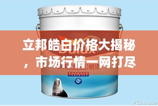 立邦皓白價格大揭秘，市場行情一網(wǎng)打盡
