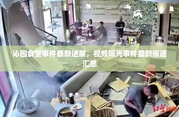 沁園食堂事件最新進(jìn)展，視頻曝光事件最新報(bào)道匯總