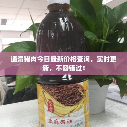 通渭豬肉今日最新價格查詢，實時更新，不容錯過！