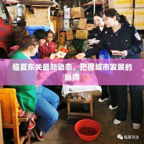 臨夏東關(guān)最新動(dòng)態(tài)，把握城市發(fā)展的脈搏