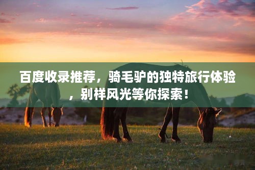 百度收錄推薦，騎毛驢的獨特旅行體驗，別樣風光等你探索！