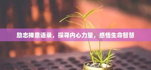 勵志禪意語錄，探尋內心力量，感悟生命智慧