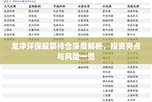 龍凈環(huán)保股票持倉深度解析，投資亮點與風(fēng)險一覽