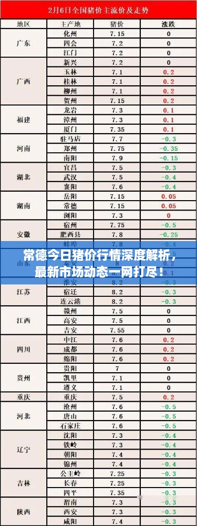 常德今日豬價(jià)行情深度解析，最新市場(chǎng)動(dòng)態(tài)一網(wǎng)打盡！