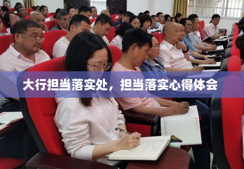大行擔當落實處，擔當落實心得體會 
