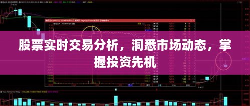 股票實時交易分析，洞悉市場動態(tài)，掌握投資先機