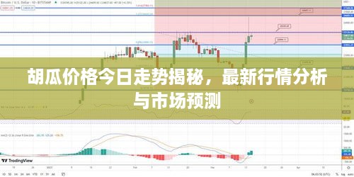 胡瓜價格今日走勢揭秘，最新行情分析與市場預(yù)測