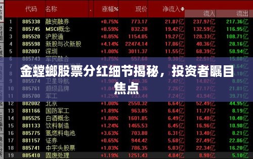 金螳螂股票分紅細(xì)節(jié)揭秘，投資者矚目焦點