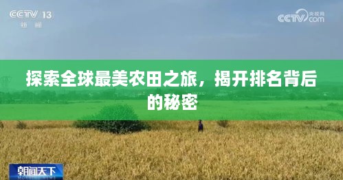 探索全球最美農(nóng)田之旅，揭開排名背后的秘密