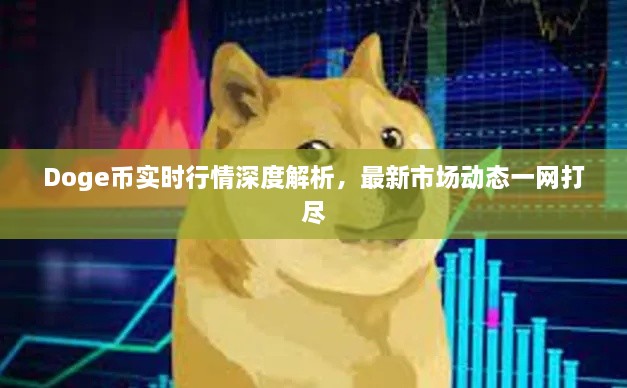 Doge幣實時行情深度解析，最新市場動態(tài)一網(wǎng)打盡