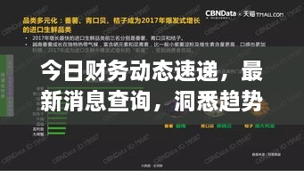 今日財務(wù)動態(tài)速遞，最新消息查詢，洞悉趨勢，掌握財經(jīng)動態(tài)