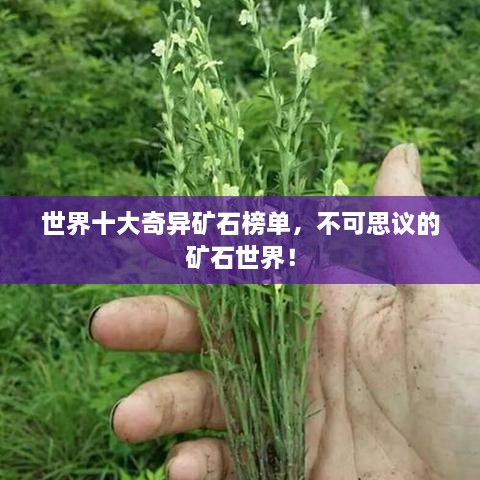 世界十大奇異礦石榜單，不可思議的礦石世界！