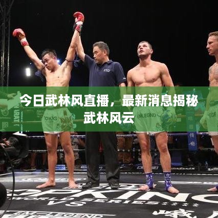 今日武林風直播，最新消息揭秘武林風云