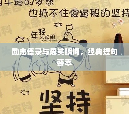 勵志語錄與爆笑瞬間，經(jīng)典短句薈萃