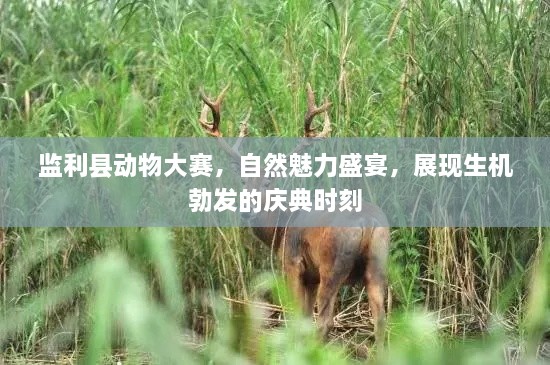 監(jiān)利縣動物大賽，自然魅力盛宴，展現(xiàn)生機勃發(fā)的慶典時刻