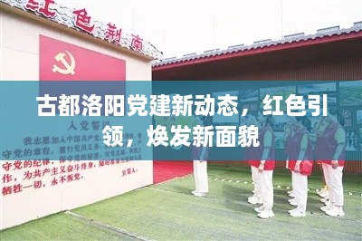 古都洛陽黨建新動態(tài)，紅色引領(lǐng)，煥發(fā)新面貌