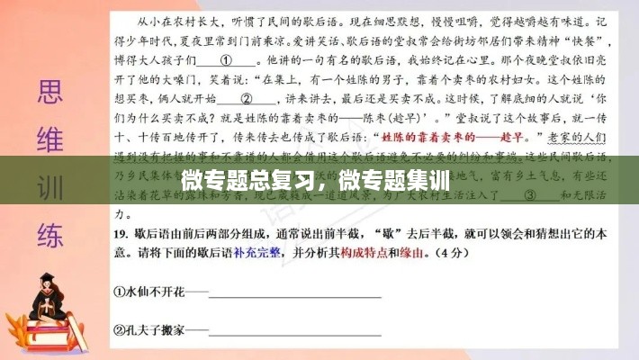 微專題總復(fù)習(xí)，微專題集訓(xùn) 