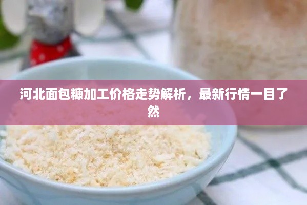 河北面包糠加工價格走勢解析，最新行情一目了然