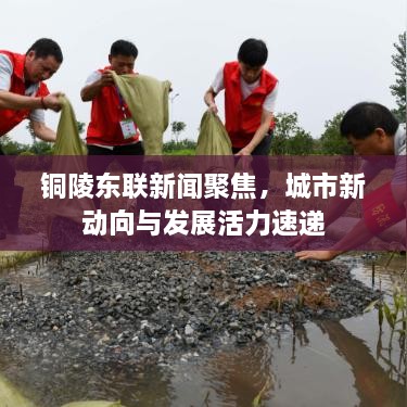 銅陵東聯(lián)新聞聚焦，城市新動向與發(fā)展活力速遞