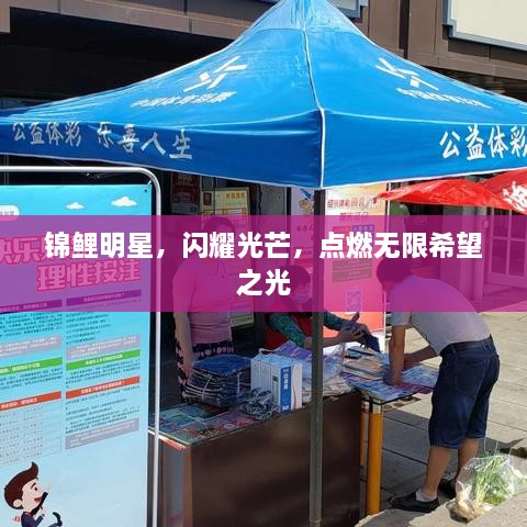 錦鯉明星，閃耀光芒，點(diǎn)燃無限希望之光