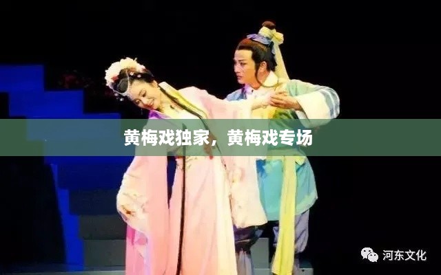 黃梅戲獨(dú)家，黃梅戲?qū)?chǎng) 
