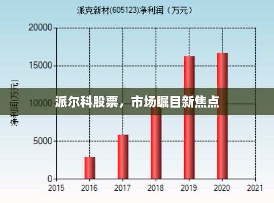 派爾科股票，市場(chǎng)矚目新焦點(diǎn)