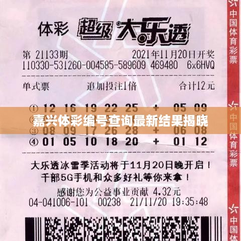 嘉興體彩編號(hào)查詢(xún)最新結(jié)果揭曉