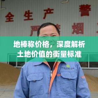 地棒稱價(jià)格，深度解析土地價(jià)值的衡量標(biāo)準(zhǔn)
