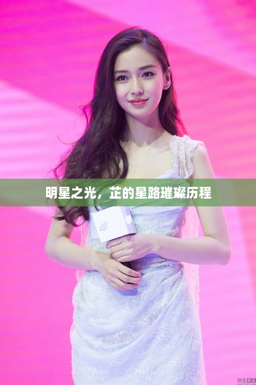 明星之光，芷的星路璀璨歷程