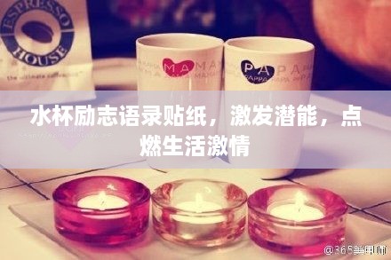 水杯勵志語錄貼紙，激發(fā)潛能，點燃生活激情