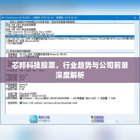 芯邦科技股票，行業(yè)趨勢(shì)與公司前景深度解析