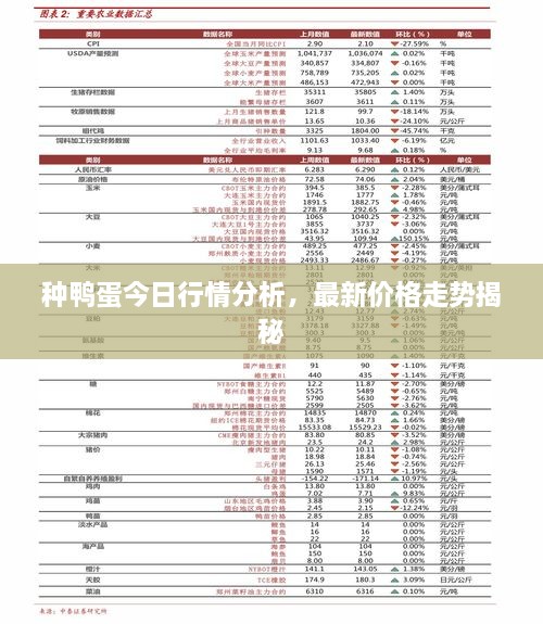種鴨蛋今日行情分析，最新價格走勢揭秘