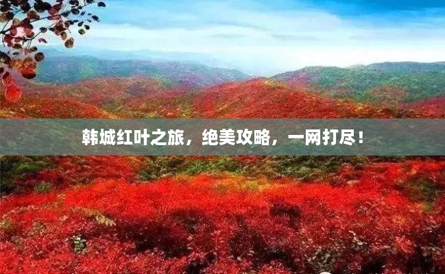 韓城紅葉之旅，絕美攻略，一網(wǎng)打盡！
