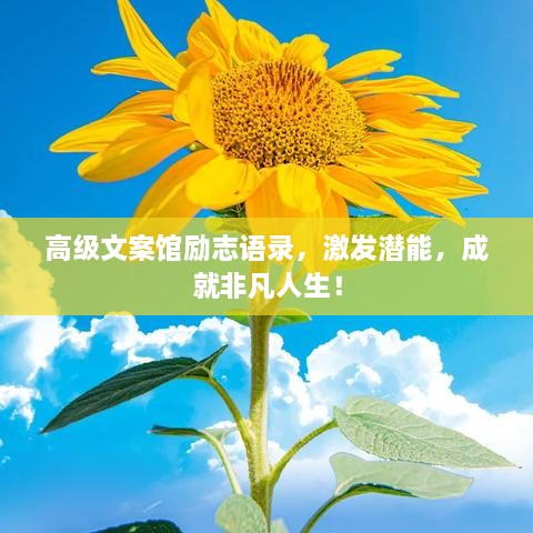 高級文案館勵志語錄，激發(fā)潛能，成就非凡人生！