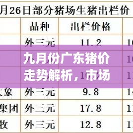 九月份廣東豬價(jià)走勢解析，市場行情、價(jià)格變動(dòng)一網(wǎng)打盡