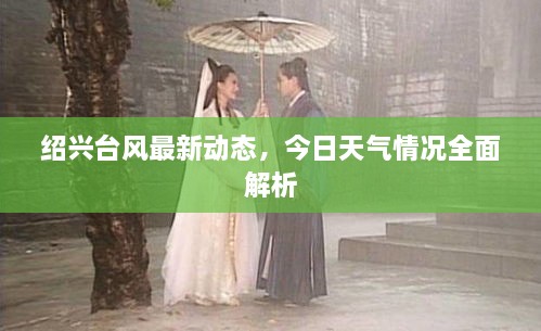 紹興臺風最新動態(tài)，今日天氣情況全面解析