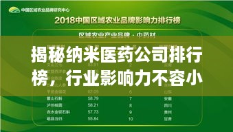 揭秘納米醫(yī)藥公司排行榜，行業(yè)影響力不容小覷！