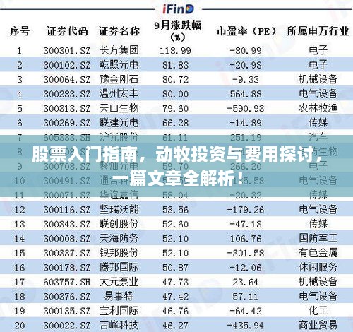 股票入門指南，動(dòng)牧投資與費(fèi)用探討，一篇文章全解析！