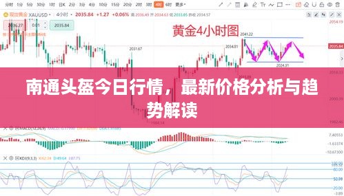 南通頭盔今日行情，最新價(jià)格分析與趨勢(shì)解讀