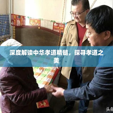 深度解讀中華孝道精髓，探尋孝道之美