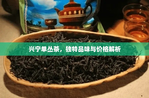 興寧單叢茶，獨特品味與價格解析