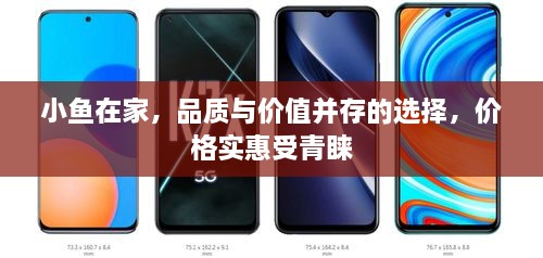 小魚在家，品質與價值并存的選擇，價格實惠受青睞