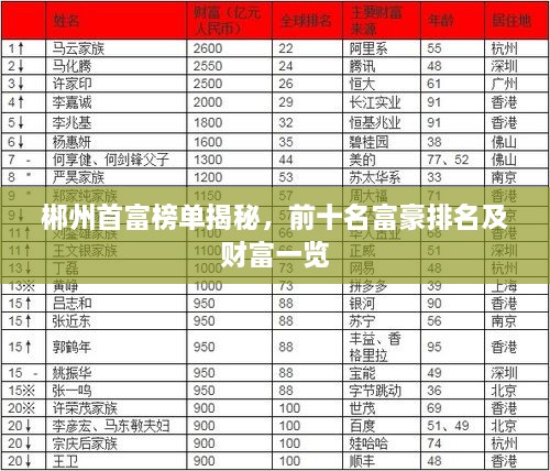郴州首富榜單揭秘，前十名富豪排名及財富一覽